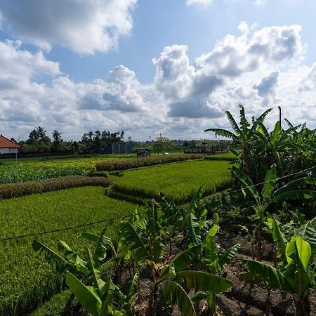 Oemah Joglo Bali Villa Ubud Eksteriør bilde