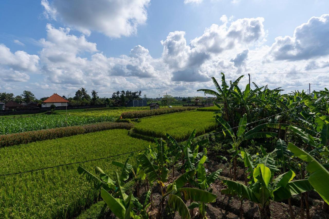 Oemah Joglo Bali Villa Ubud Eksteriør bilde