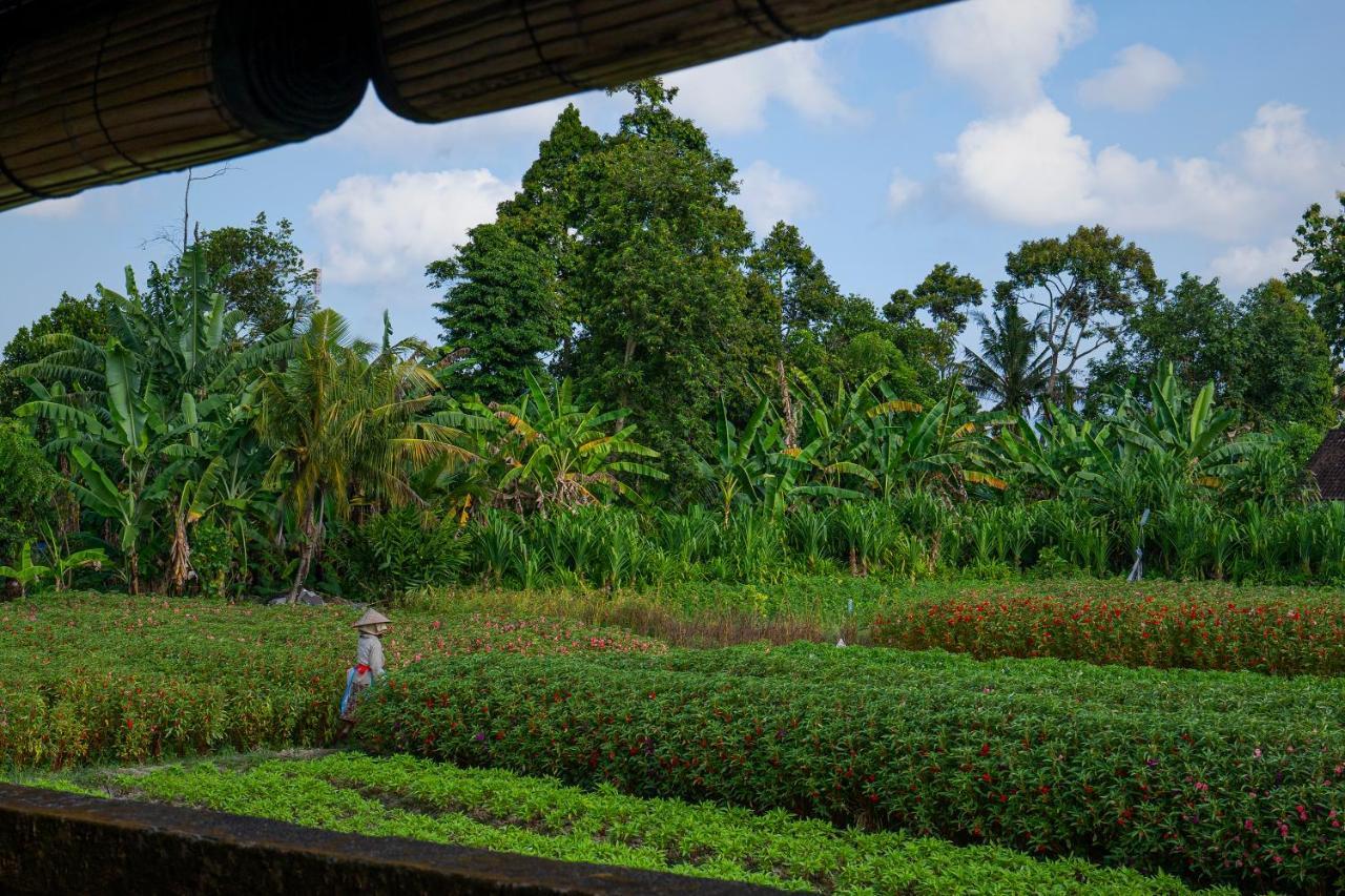 Oemah Joglo Bali Villa Ubud Eksteriør bilde